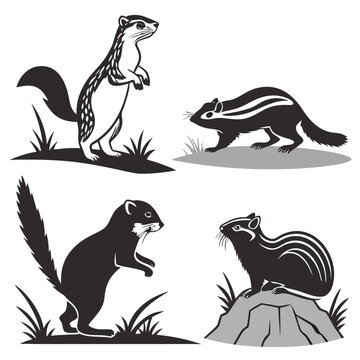 Four chipmunks in different poses