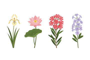 Obraz premium Tropical Botanical Flower Set: Yellow Walking Iris, Chinese Water Lily, Rosebay, Garlic Creeper. Vector Illustration. Design Element. Clip art. Suitable for artwork design. Editable for any design.