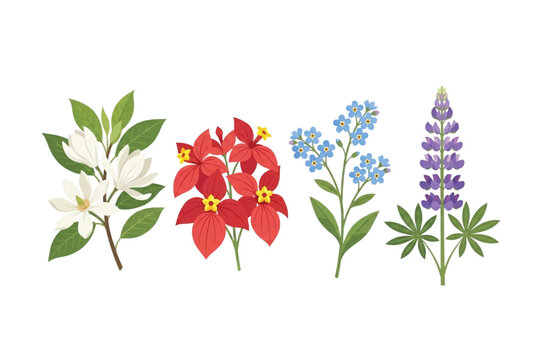 Tropical Botanical Flower Set: White Champaca, Philippine Mussaenda, Myosotis, Lupine. Vector Illustration. Design Element. Clip art. Suitable for artwork design. Editable for any design.