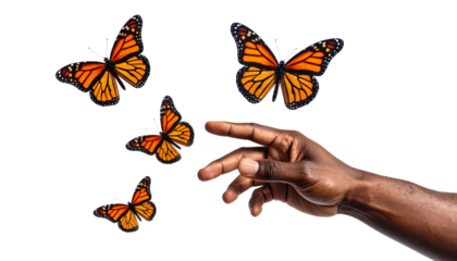 Dark-skinned hand reaching out towards a group of vibrant orange and black butterflies flying
