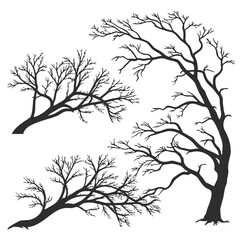 Obraz premium Silhouette of bare trees