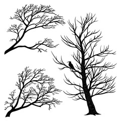 Obraz premium Silhouettes of bare trees with a bird
