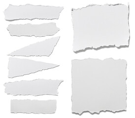 Collection of Torn White Paper Pieces
