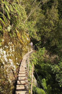 Woman hiking on Alex Knob Trail in Franz Josef Glacier Valley