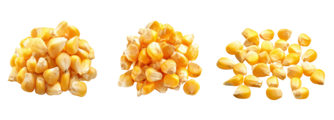 Harvested corn kernels on transparent background food photography natural composition