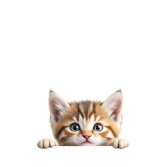 A curious orange kitten peeking over a black surface on transparent background