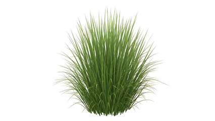 Vibrant fresh green ornamental grass cluster thriving naturally, perfect for diverse landscape design projects and adding organic beauty to various natural environment compositions