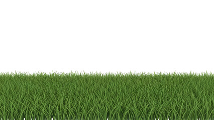Lush vibrant green grass border element for natural seasonal design projects and digital compositions fresh healthy meadow foliage for overlay and environmental themes