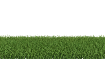 Lush vibrant green grass border element for natural seasonal design projects and digital compositions fresh healthy meadow foliage for overlay and environmental themes
