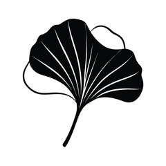 ginkgo leaf outline illustration