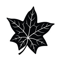 ivy leaf outline illustration