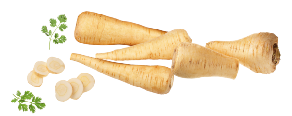 a group of whole parsnips, sliced parsnip rounds, and sprigs of fresh cilantro on a dark background, close-up view, high-quality food photography for culinary use.