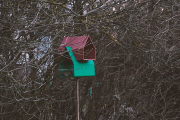 Free plastic bird feeder in the garden printed on a 3d printer. Feeding birds in winter. Bird watching. Eco-friendly backyard habitat.