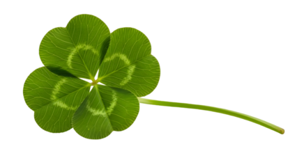 Lucky four leaf clover on st patrick's day celebration background