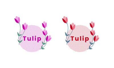 Modern vivid floral design. Cool spring geometric decorative tulip flowers, Nature Flower design elements vector