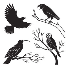 Obraz premium Bird silhouettes on branches