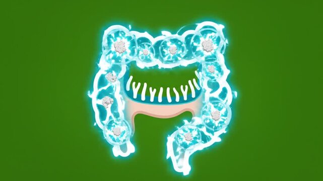 Celiac Disease Glowing Visualization with Gluten on Green Screen Animation Medical Animation of Gluten Affecting