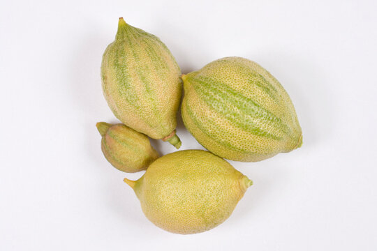 A group of four whole striped pink tiger lemons with variegated green and yellow skins is placed on a plain white background