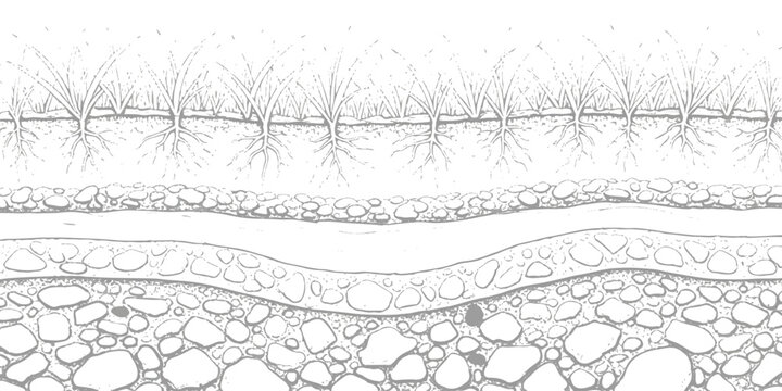 A detailed cross-section illustration of geological layers and soil profile with plant roots