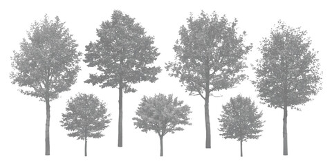 Seven monochrome cutout trees for architectural rendering and graphic design projects © GraphixEra