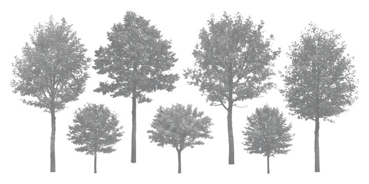 Seven monochrome cutout trees for architectural rendering and graphic design projects