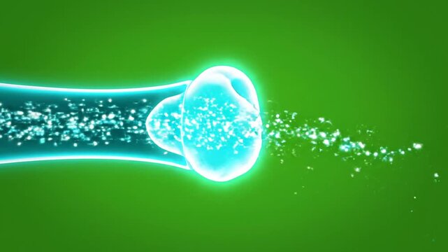 Glowing Blood Vessel Animation Illustrating Deep Vein Thrombosis Process on Green Screen Background for Medical and