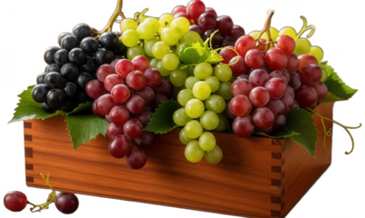 Assortment of fresh grapes in wooden crate with autumn leaves