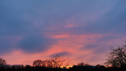 Vibrant colorful sunset sky with dramatic clouds and dark tree silhouettes