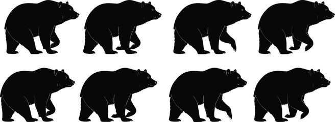 Walking bear silhouette vector set featuring multiple wild bear poses in black wildlife illustration design collection