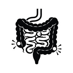 Human Digestive System Anatomy Illustration