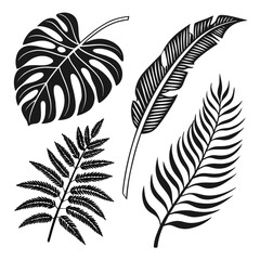 Obraz premium Black and white tropical leaves