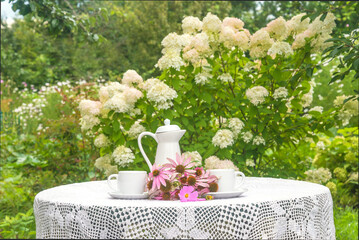 Summer breakfast in a blooming garden. Two white cups of tea, tea pot, bouquet of pink flowers on a table in a blooming garden
