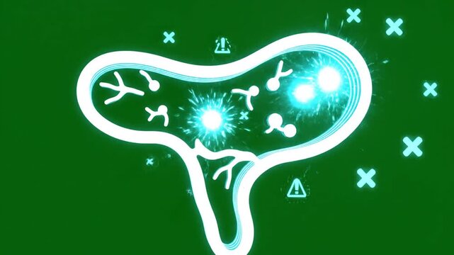 Rotating Hologram of Pancreas Malfunctioning on Green Screen Illustrating Disease Teal and White Colors Medical
