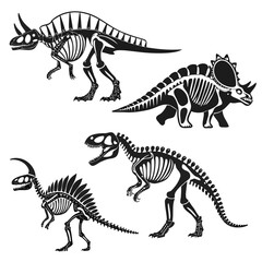 Dinosaur skeleton illustrations © Rajiya