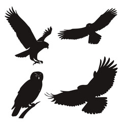 Obraz premium Silhouettes of birds of prey