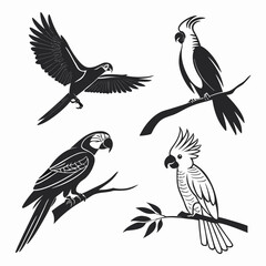 Obraz premium Parrot silhouettes