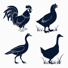 Silhouettes of various birds © Kola