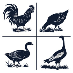 Silhouettes of various birds © Kola