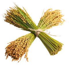 Bundles of golden-yellow rice stalks tied together with twine, arranged in an "X" shape