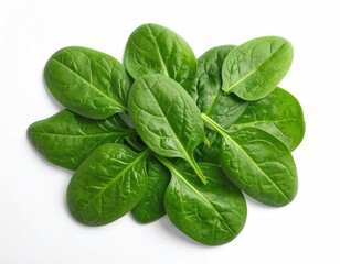 Lush green spinach leaves are neatly arranged against a stark white backdrop