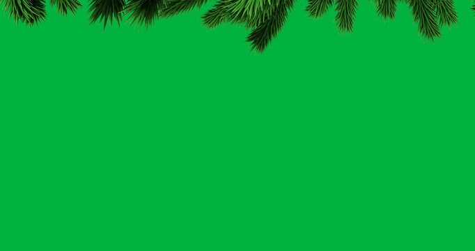 Animation of decoration with green fir tree branch on black background