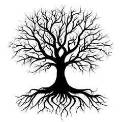 Obraz premium Tree Silhouette with Bare Branches and Visible Root System in Black