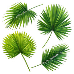 Four detailed, vibrant green palm leaves isolated against a solid black background