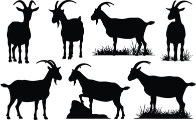 Fototapeta premium Goat Silhouettes in Various Outdoor Poses, Black Silhouette Collection of Farm and Mountain Goats, Livestock Profile Illustrations with Grass and Rock Accents, Goat Herd Vector Art Set.