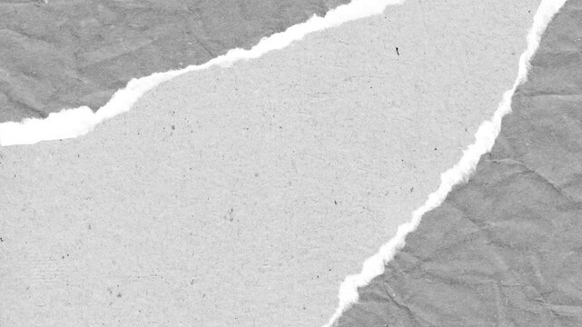 Torn paper texture with ragged edges showing textured surface for abstract and creative backgrounds