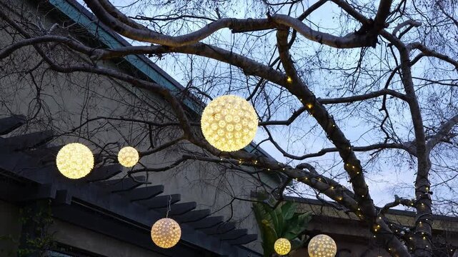 Large orb-shaped lights glow among leafless trees at dusk, turning a quiet outdoor space into a festive scene.