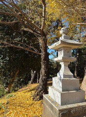 Traditional Japanese garden scene with yellow ginkgo carpet