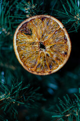 A close-up of a dried orange slice hanging as a festive ornament on a lush green Christmas tree. The slice is beautifully dehydrated, with rich amber-orange hues, translucent segments.