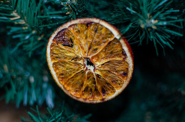 A close-up of a dried orange slice hanging as a festive ornament on a lush green Christmas tree. The slice is beautifully dehydrated, with rich amber-orange hues, translucent segments.