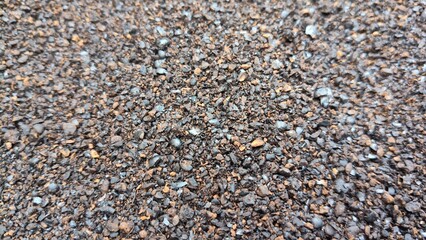 pebble stones background and roasted coffee beans dried in the sun.